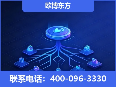 合肥-全链豆包优化